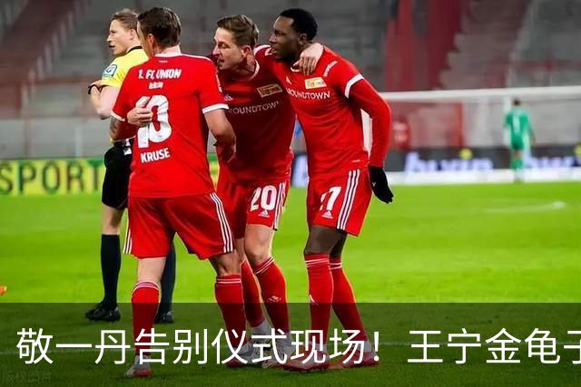 敬一丹告别仪式现场！王宁金龟子现身送别，多位主持人忍不住哭泣